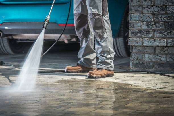 Best Soft Washing  in Drain, OR