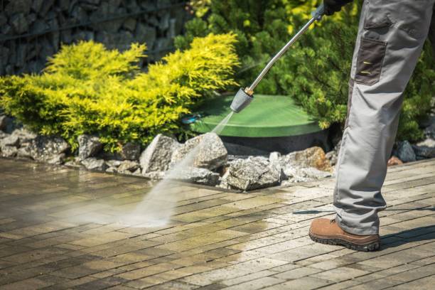 Best Pool Deck Cleaning  in Drain, OR